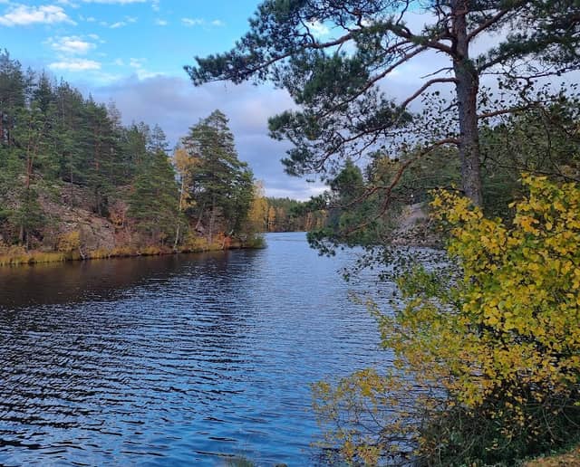 Sahajärvi - Image 1