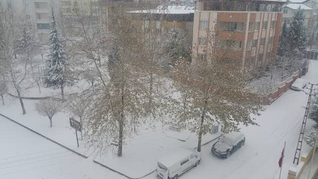 Dinlenme Parkı - Image 2