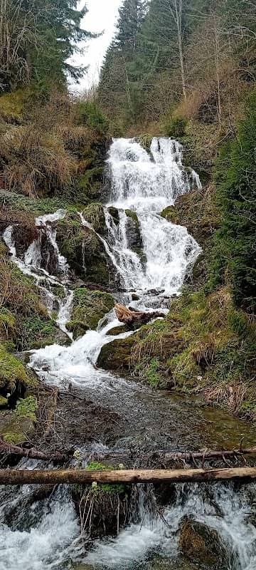 Cascada Teilor - Image 1