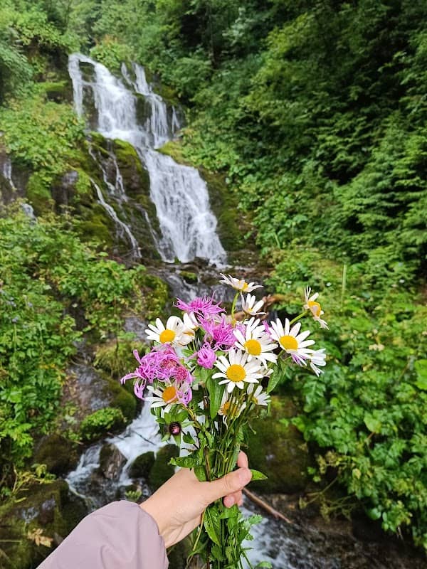 Cascada Teilor - Image 3