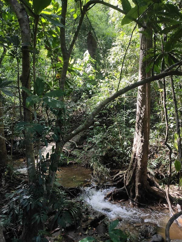 Sai Yoi Waterfall - Image 1