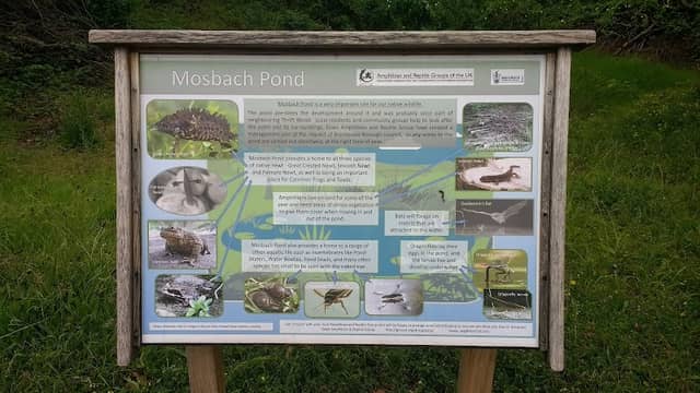 Mosbach Pond - Image 2