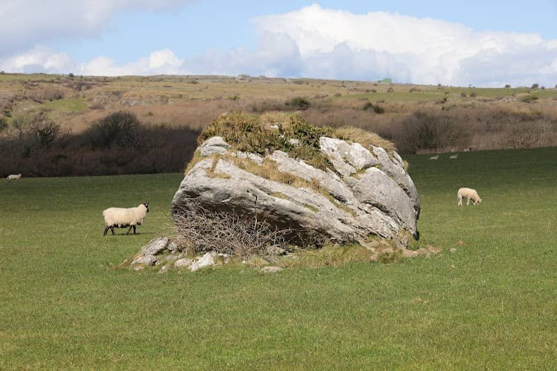 St. Kevin's Stump - Father Ted Filming Location - Image 2