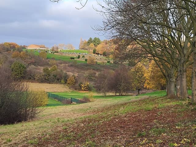 Herringthorpe Valley Park - Image 1