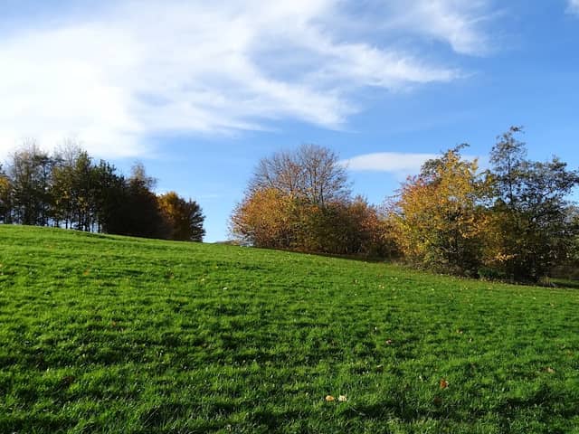 Herringthorpe Valley Park - Image 2