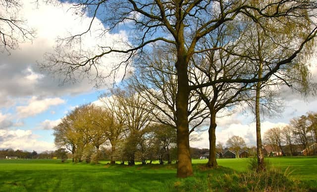 Picknick tafels en zicht op Holten - Image 3
