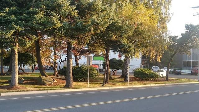 Bruce Guenther Park - Image 2