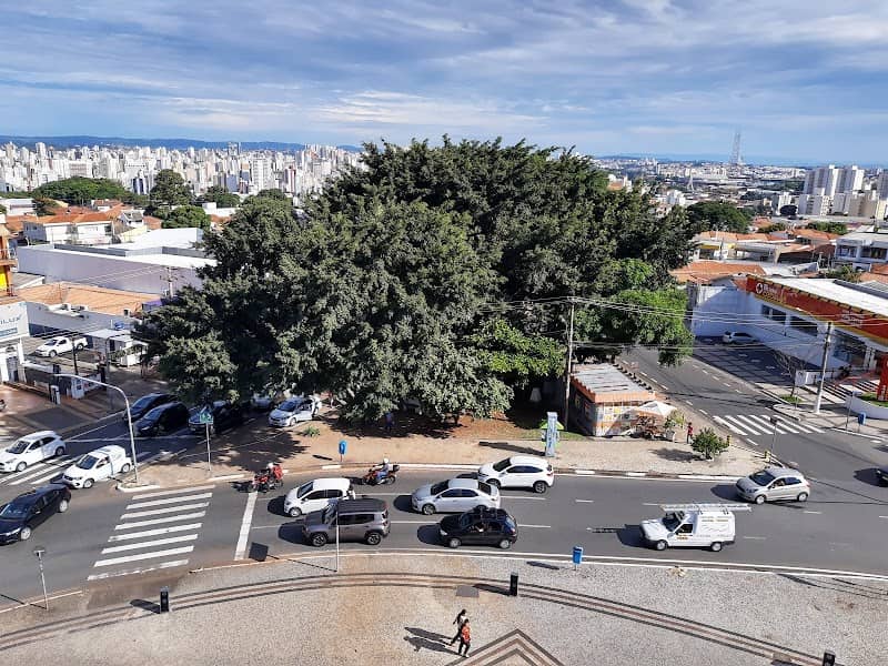 Torre Do Castelo - Image 1