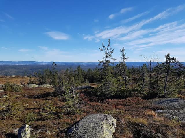 Fjøsvikfjellet - Image 1