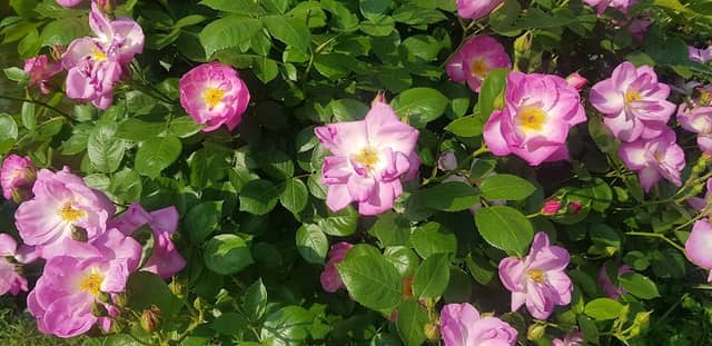 인하대 후문 - Image 1