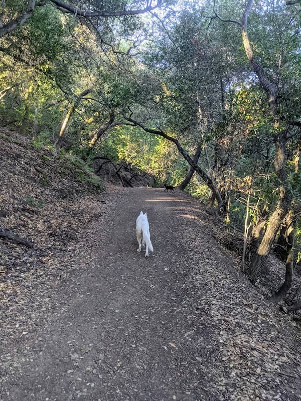 Las Trampas - Del Amigo Trail Entrance - Image 1