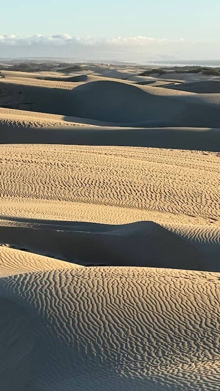 Pismo Dunes Beach - Image 2