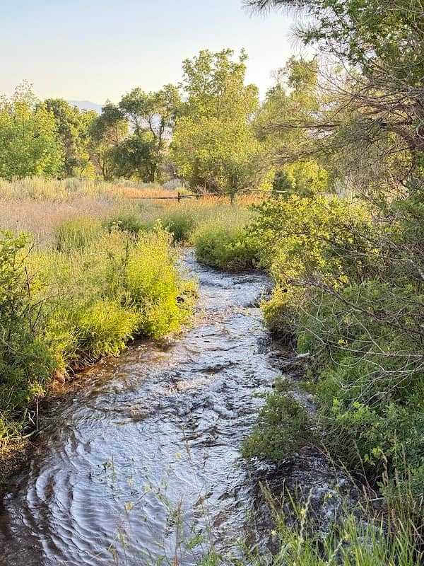 Maple Grove Campground - Image 2