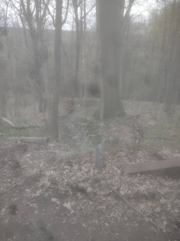 Renwick Slope Natural Area - Image 1