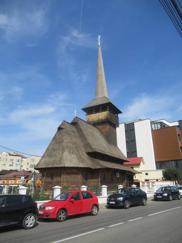 Creanga întunecata - Image 1