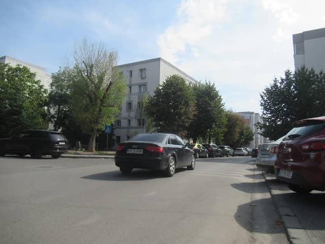 Creanga întunecata - Image 2