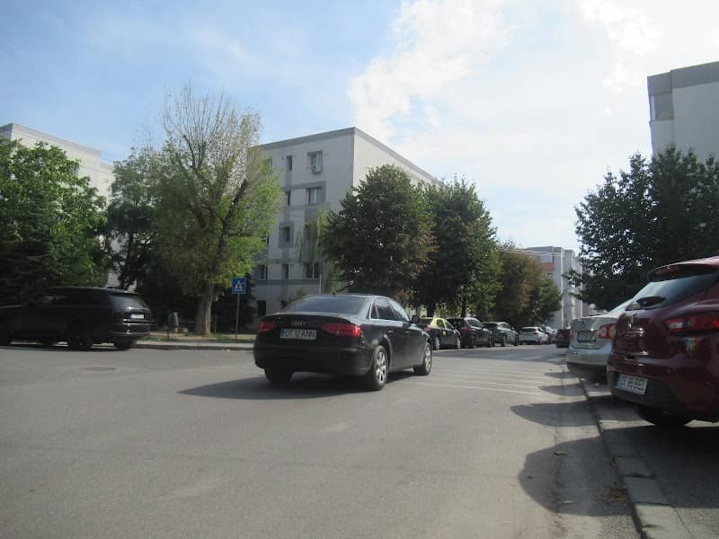 Creanga întunecata - Image 2