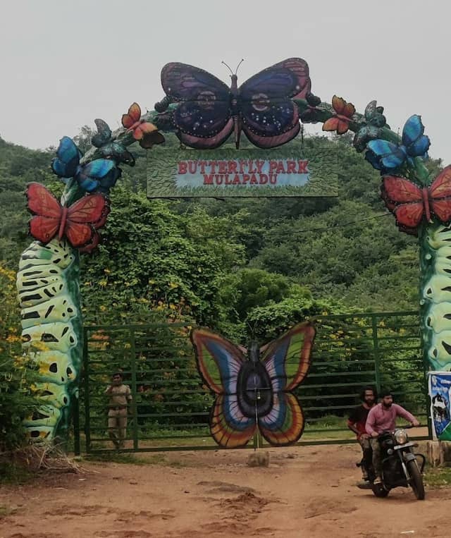 Butterfly Park-Mulapadu - Image 2