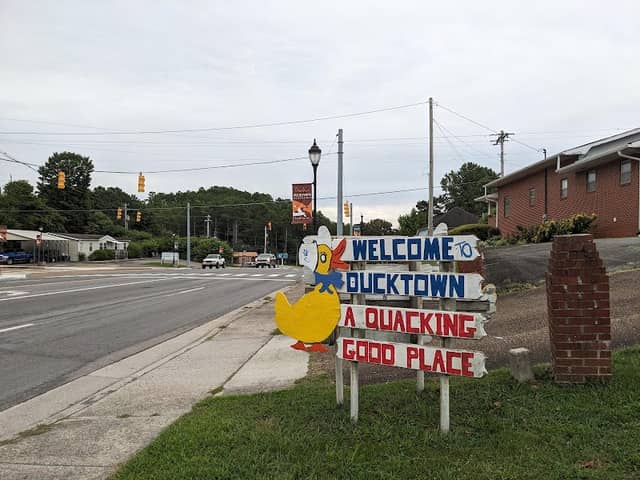 “Welcome to Duck Town” Sign - Image 1