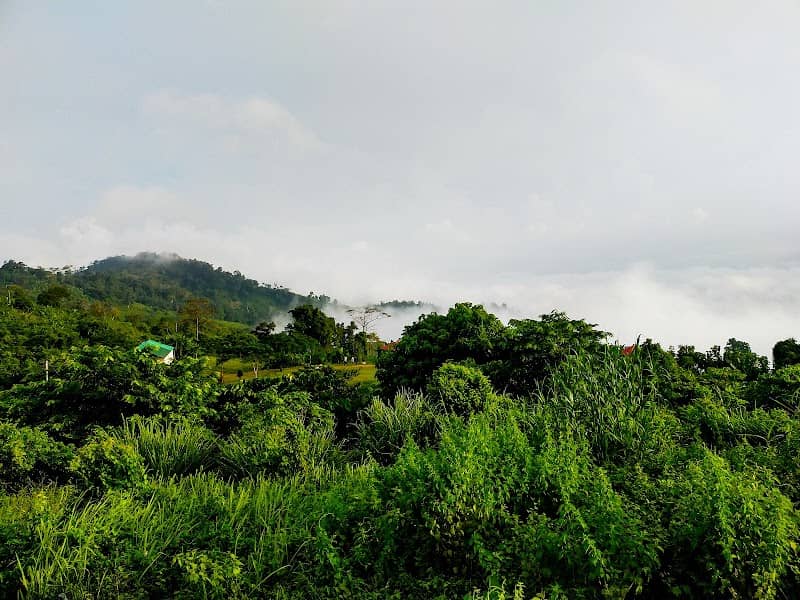 The Horizon Garden - Image 3