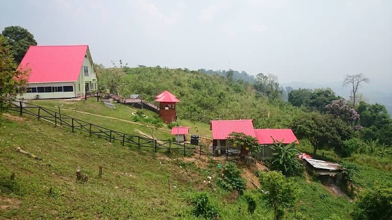 The Horizon Garden - Image 1