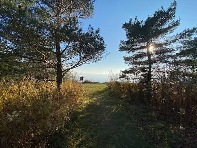 Lucas Point Park - Image 2