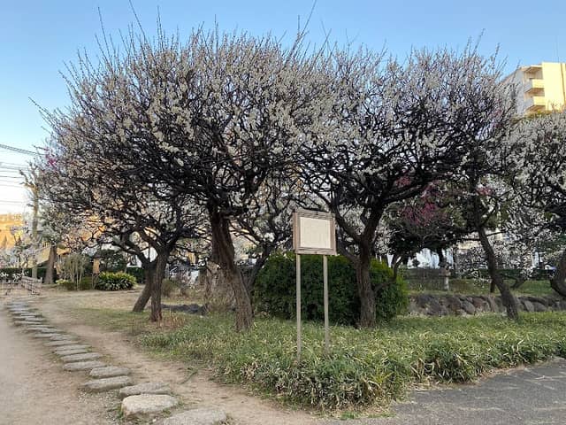 Seiseki Kamata Umeyashiki Park - Image 2