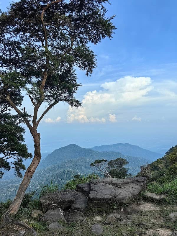 viewpoint - Image 1