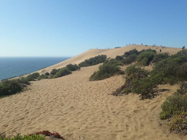 Concon Dunes - Image 2