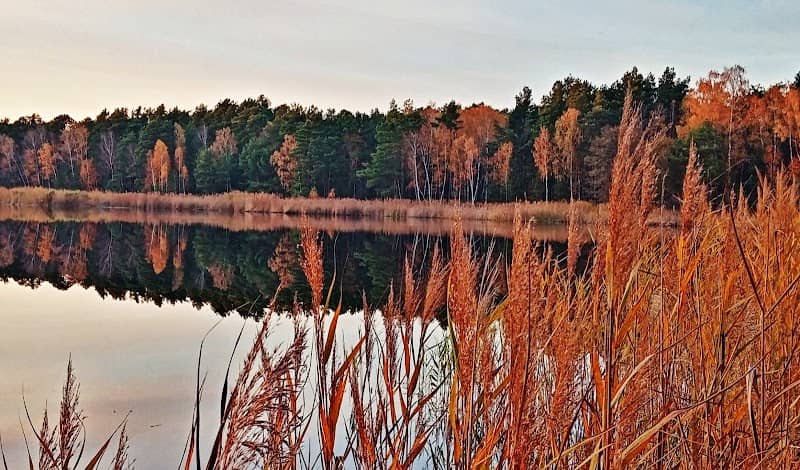 Rezerwat przyrody Śliże - Image 1