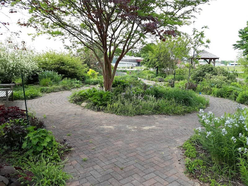 University of Delaware Botanic Gardens - Image 2