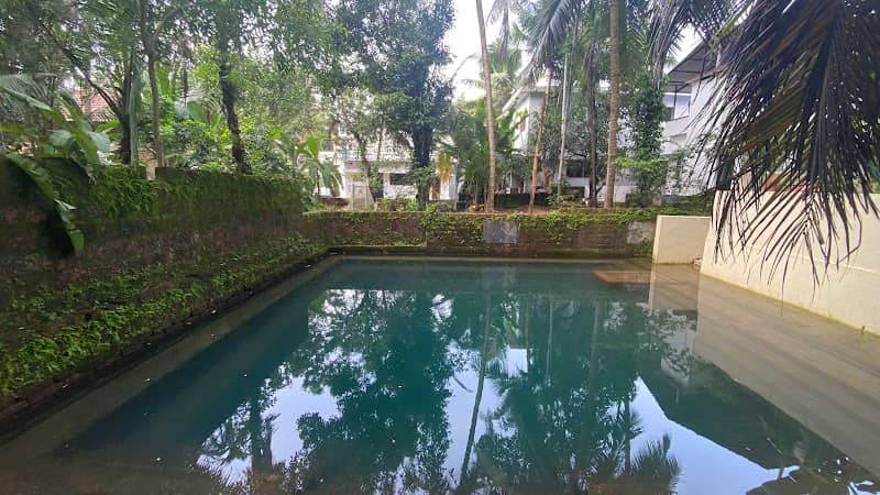 Sree Panonneri Temple Pond - Image 1