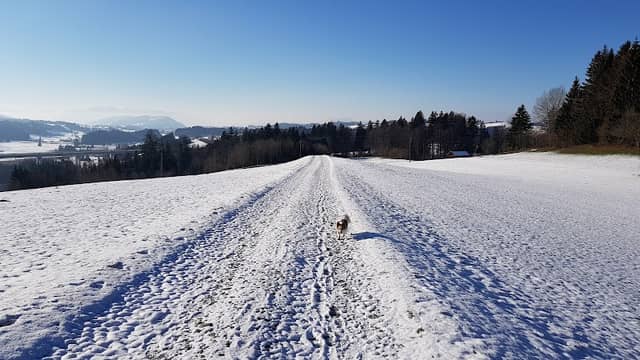 Oberzollhauser Höhenweg - Image 1