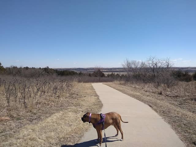 South Park, Junction City - Image 2