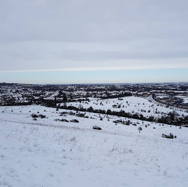 Blow's Downs Nature Reserve - Image 2