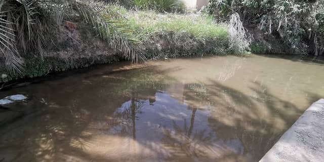 آمَّة فلج السمدي - Image 1