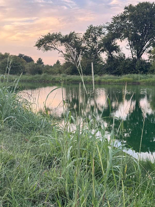 Little Lake - Image 2