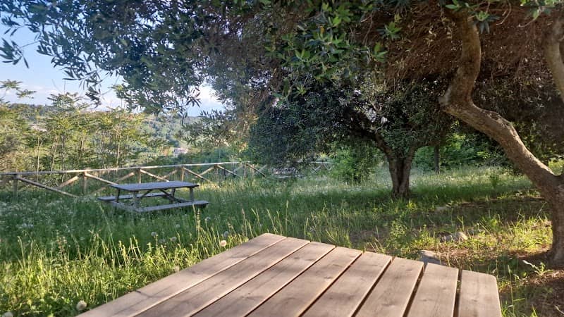 parco cicogna - Image 1