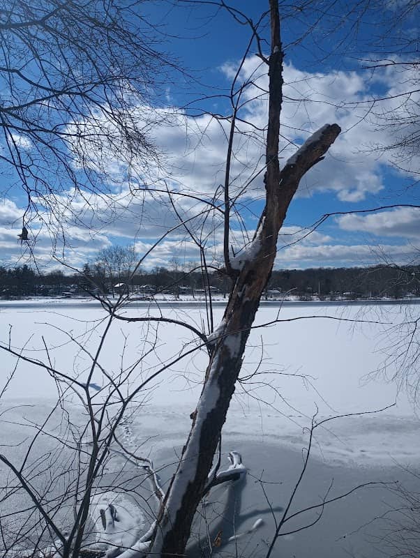 Hanover Pond - Image 2