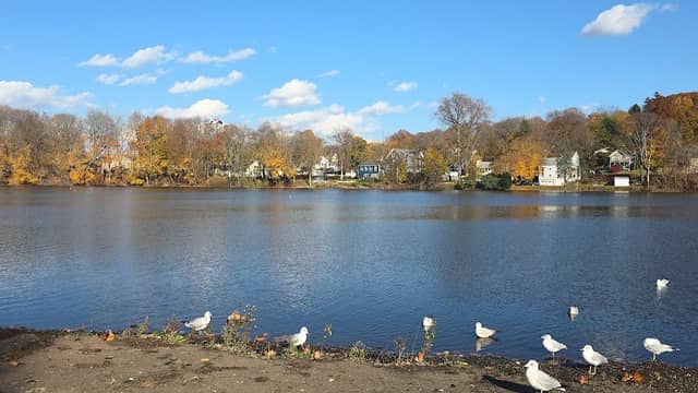 Hanover Pond - Image 1
