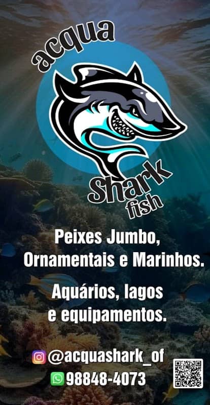 Acqua Shark & Fish aquarismo e vidros - Image 1