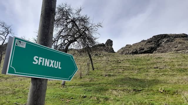 Sfinxul de la Crivina - Image 2