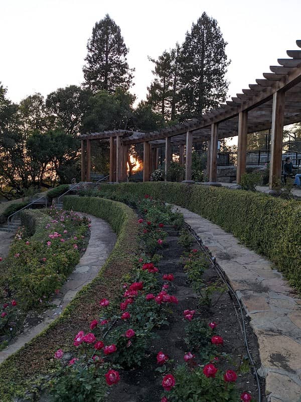 Berkeley Rose Garden - Image 2