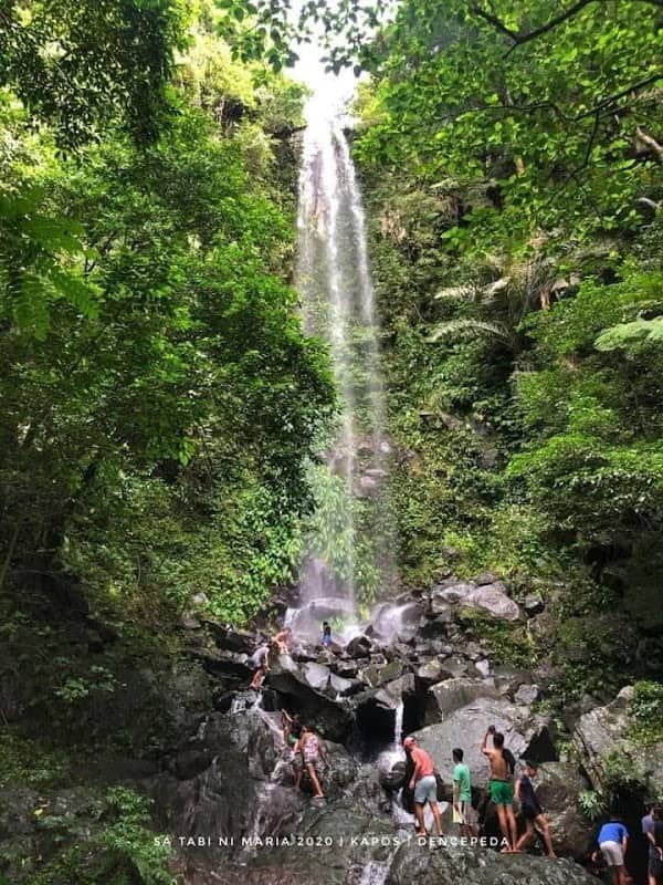 Talon ng kapos - Image 1