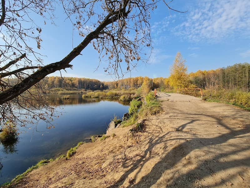 Verkhneyauzskiye Bolota - Image 2