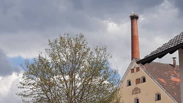 Storchennest auf Brauereikamin - Image 1