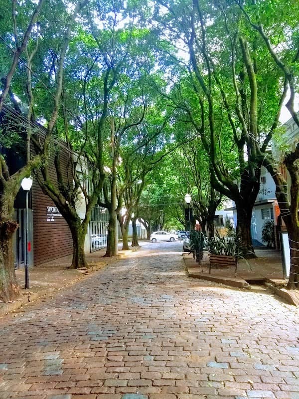 Boulevard dos Oitis - Image 1
