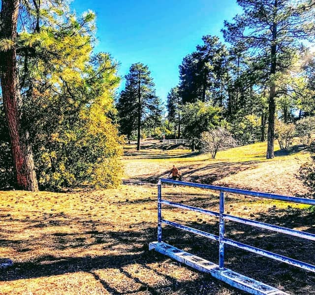Rumsey Park - Image 2