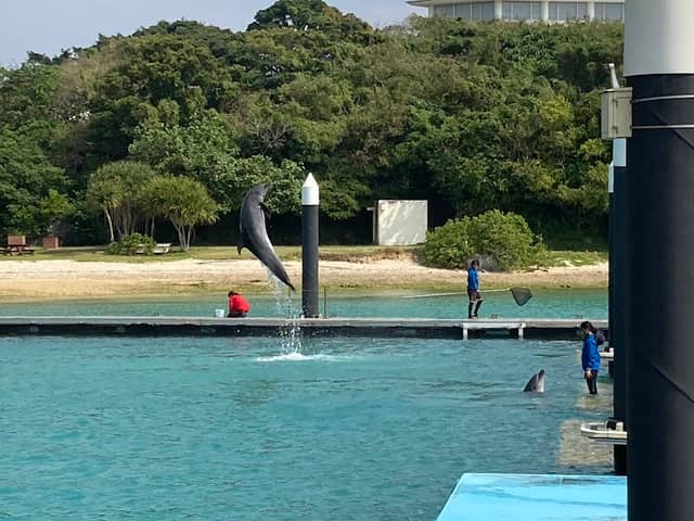 イルカ飼育場 - Image 1