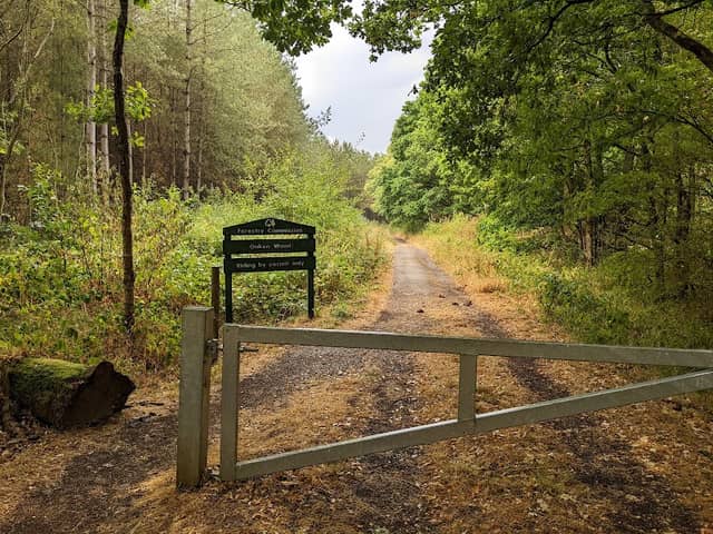 Oaken Wood - Image 1